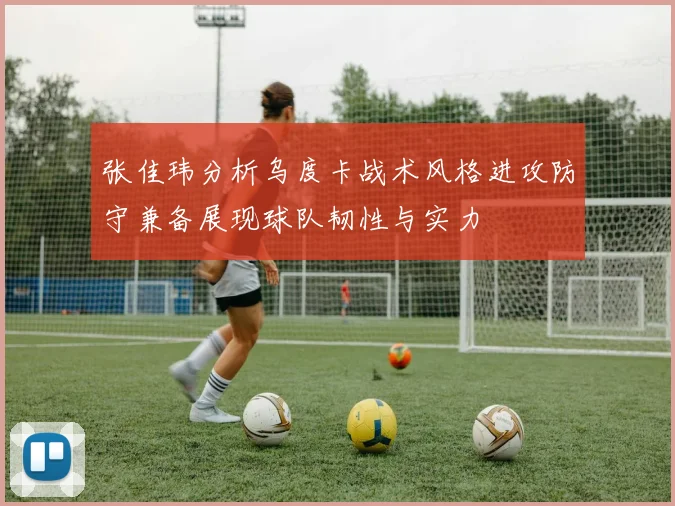 张佳玮分析乌度卡战术风格进攻防守兼备展现球队韧性与实力