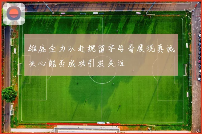 雄鹿全力以赴挽留字母哥展现真诚决心能否成功引发关注